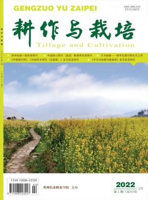 耕作与栽培