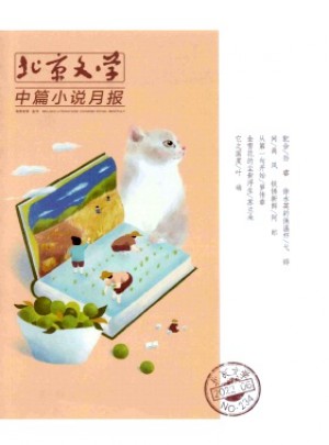 北京文学·中篇小说月报