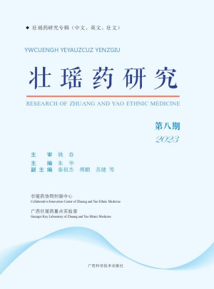 壮瑶药研究